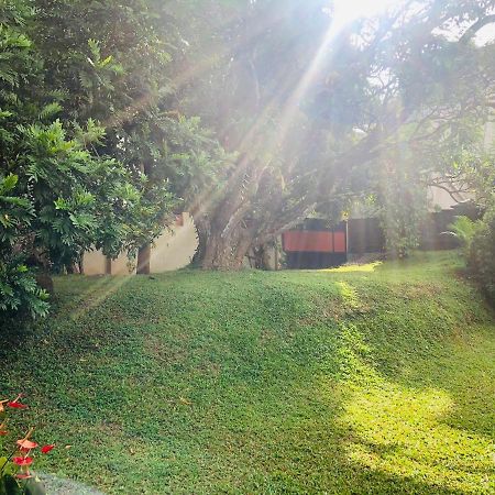 47 Alfred House - Free Pickup From Kandy City エクステリア 写真
