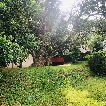 47 Alfred House - Free Pickup From Kandy City エクステリア 写真