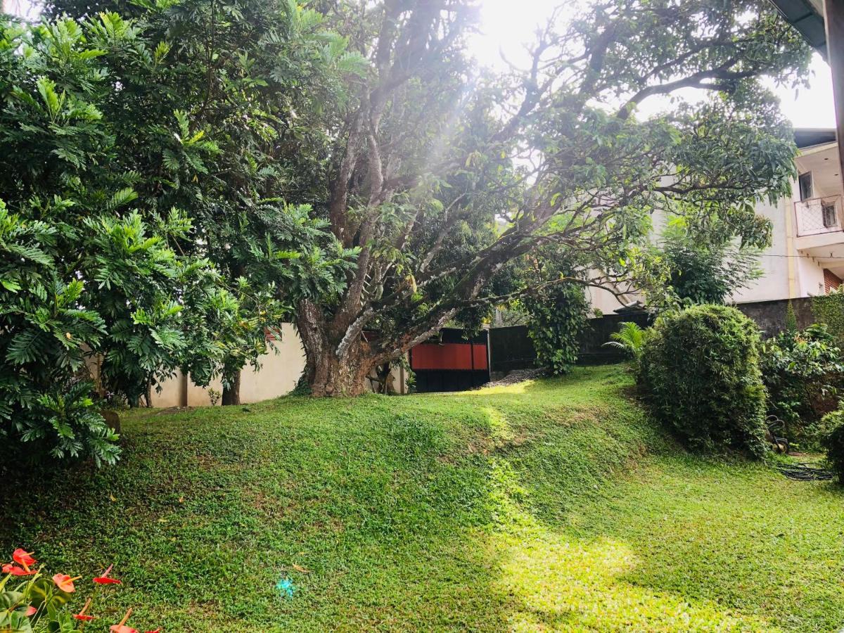 47 Alfred House - Free Pickup From Kandy City エクステリア 写真