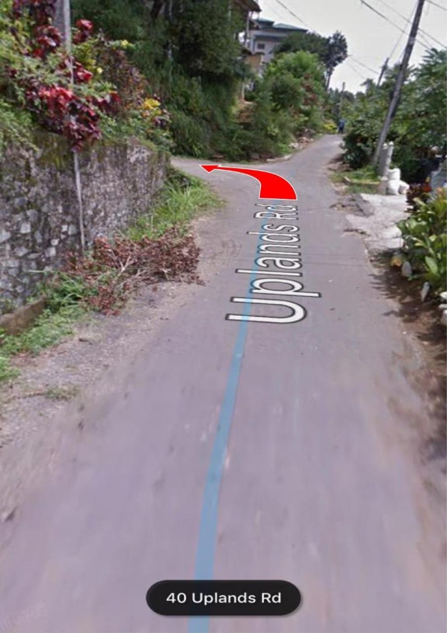47 Alfred House - Free Pickup From Kandy City エクステリア 写真